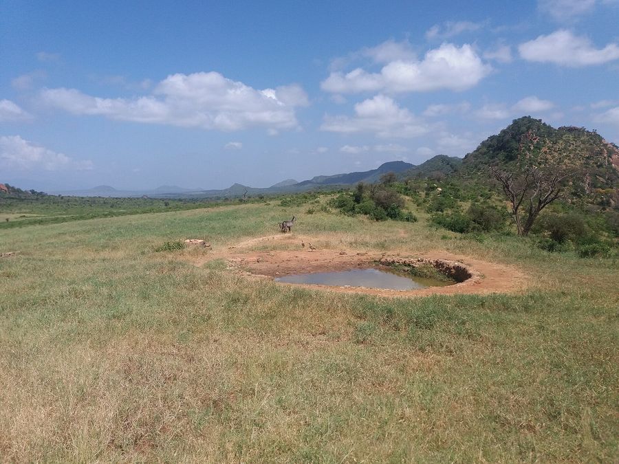 A water hole at Ngulia Safari Lodge, Tsavo West